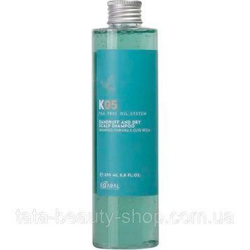 Шампунь против сухой перхоти Kaaral К05 Dandruff Removing Shampoo, 250мл 1053_2021 фото