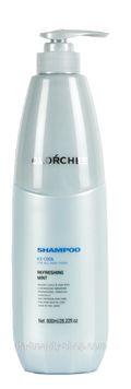 Освежающий шампунь для волос Olorchee Ice Cool Refreshing Mint Shampoo, 800мл 2578261337 фото